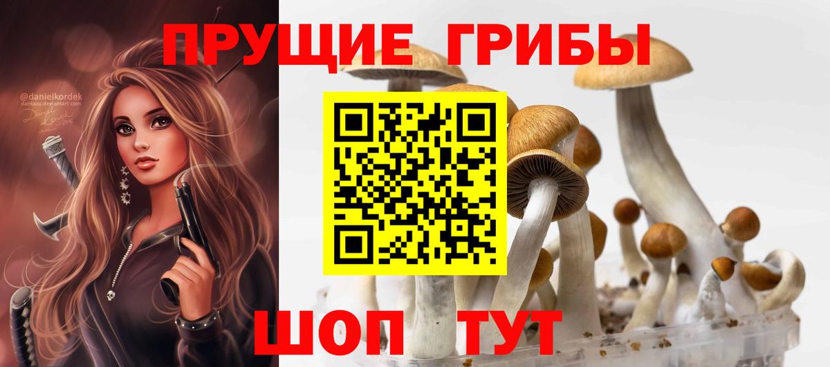 Псилоцибиновые грибы Cubensis Богородск